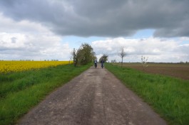 Obstblütenwege in der Lommatzscher Pflege