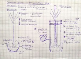 Obstblütenwege in der Lommatzscher Pflege