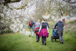 Obstblütenwege in der Lommatzscher Pflege